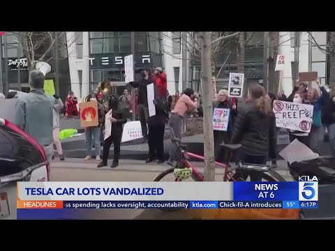 Anti-DOGE protestors gather outside Tesla stores, targeting Elon Musk&#039;s bottom line