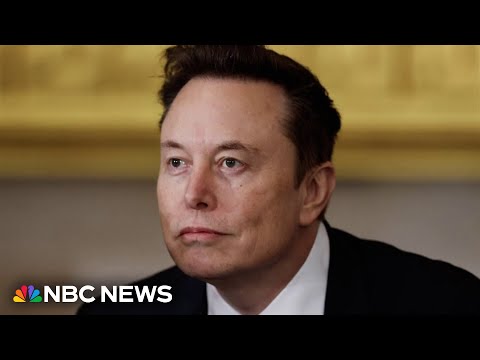 Elon Musk calls on Germany&#039;s far-right party to &#039;move beyond&#039; Nazi guilt