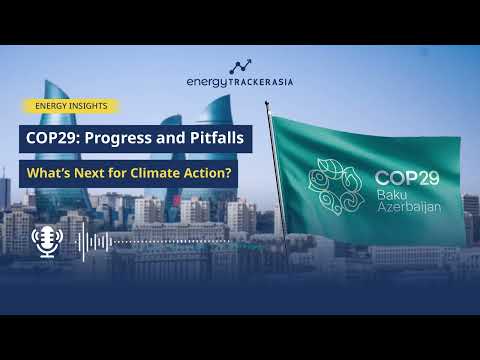 COP29 Outcome: What’s Next for Climate Action?