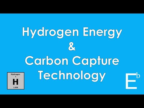 The Economics of Climate Change: Hydrogen Energy &amp; Carbon Capture Technology