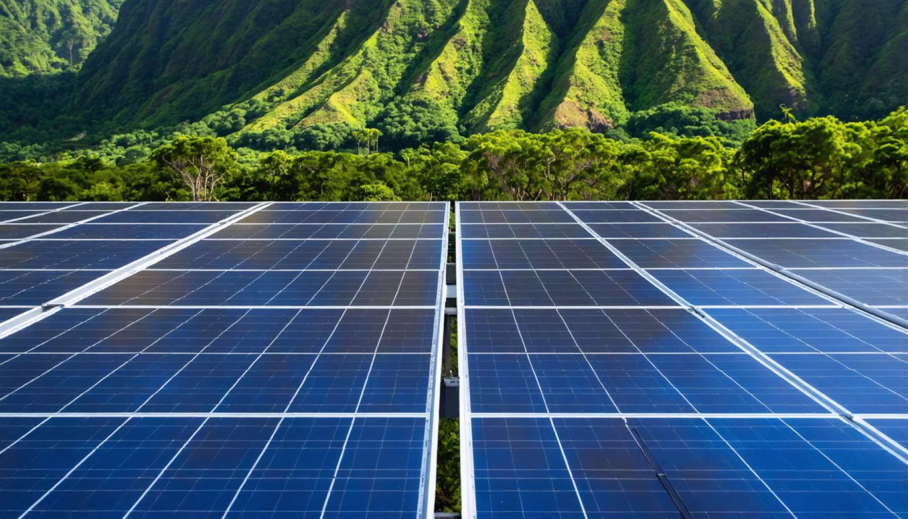 Hawai‘i's Energy Crossroads: Seizing the Chance for a Sustainable Future